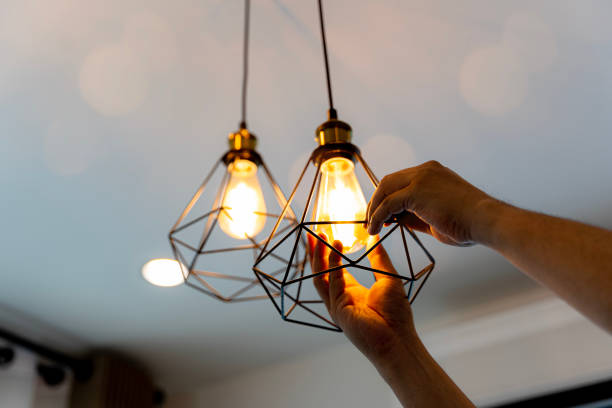 Best Licensed Electrician  in Paddock Lake, WI